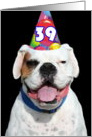 Happy 39th Birthday Boxer Dog card