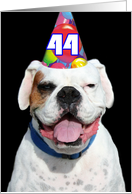 Happy 44th Birthday Boxer Dog card