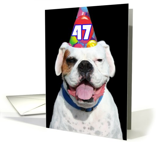 Happy 47th Birthday Boxer Dog card (488037)