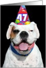 Happy 47th Birthday Boxer Dog card