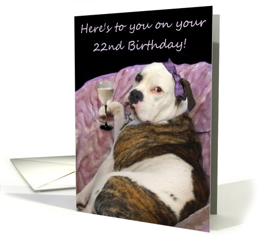 Happy 22nd Birthday Old English Bulldogge card (488931)