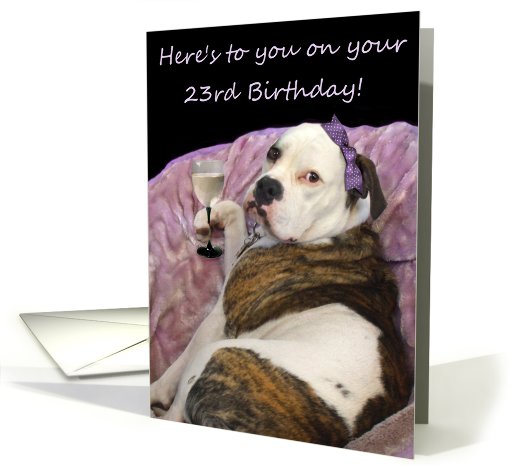 Happy 23rd Birthday Old English Bulldogge card (488932)