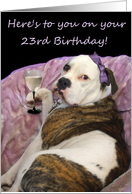 Happy 23rd Birthday Old English Bulldogge card