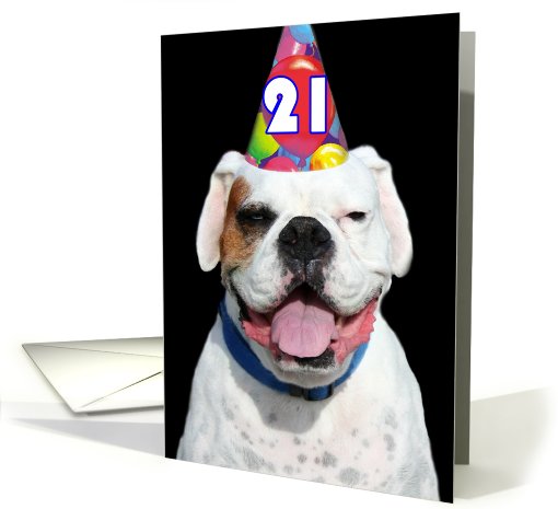 21st Birthday Party Invitaiton Boxer card (488939)