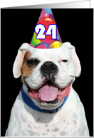 Happy 24th Birthday Invitation Boxer Dog card