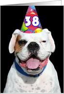 38th Birthday Party Invitation Boxer card