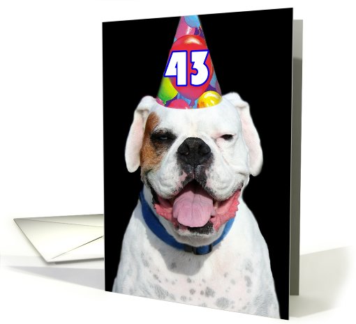 43rd Birthday Party Invitation Boxer card (492341)