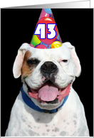 43rd Birthday Party Invitation Boxer card