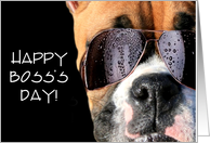 Happy Boss’s Day Boxer card