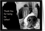 Thank You for being my Usher Boxer Dog card