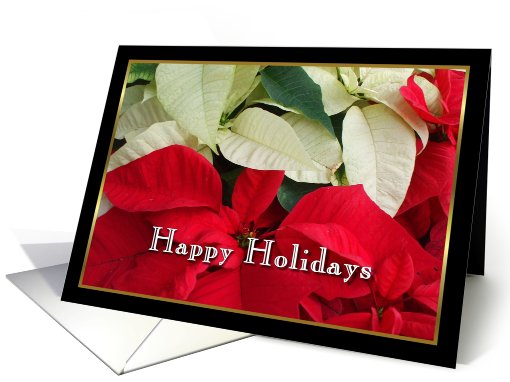 Happy Holidays Poinsettias card (494815)
