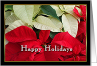 Happy Holidays Poinsettias card