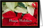 Happy Holidays Poinsettias card