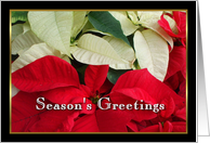 Season’s Greetings Poinsettias card