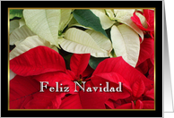 Feliz Navidad Poinsettias card