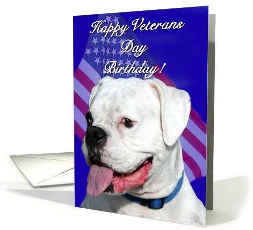 Happy Veterans Day Birthday Boxer card (507858)