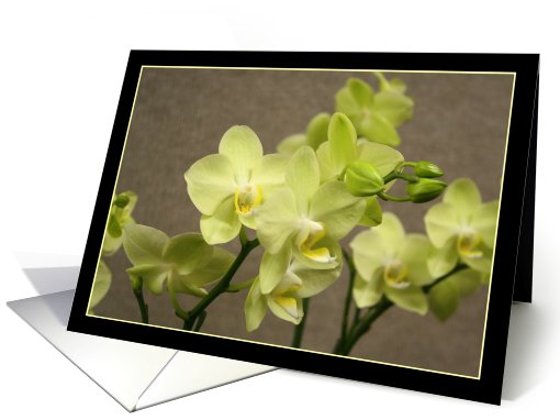 Orchids card (510976)