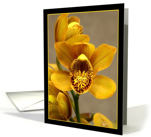 Yellow Orchid card (511035)