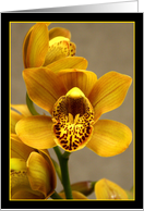 I Love You Orchid card