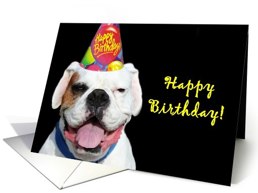 Happy Birthday White Boxer Dog card (519112)