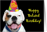 Happy Belated Birthday White Boxer Dog card