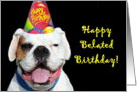 Happy Belated Birthday White Boxer Dog card