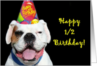 Happy 1/2 Birthday White Boxer Dog card