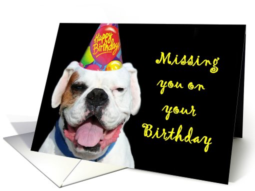 Missing you on your Birthday White Boxer Dog card (519115)