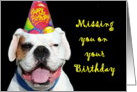 Missing you on your Birthday White Boxer Dog card