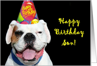 Happy Birthday Son White Boxer Dog card