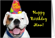Happy Birthday Mom White Boxer Dog card