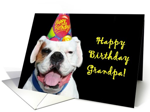 Happy Birthday Grandpa White Boxer Dog card (519119)