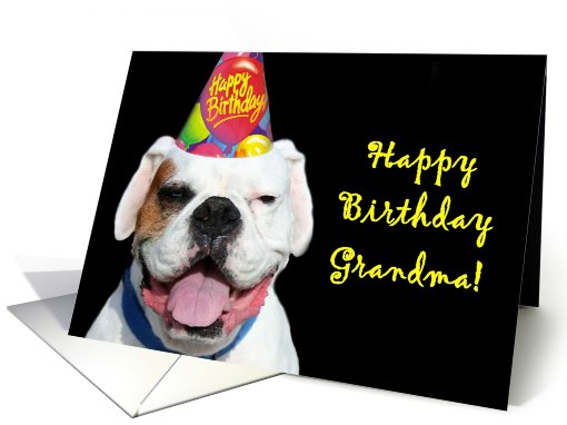Happy Birthday Grandma White Boxer Dog card (519120)
