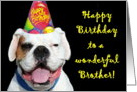 Happy Birthday Brother White Boxer Dog card