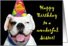 Happy Birthday Sister White Boxer Dog card