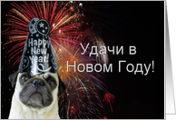 Russian Happy New Year pug card