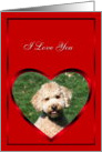 I Love you Mini Goldendoodle card