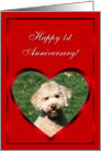 Happy 1st Anniversary Mini Goldendoodle card