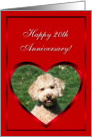 Happy 20th Anniversary Mini Goldendoodle card