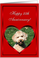 Happy 35th Anniversary Mini Goldendoodle card