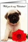 Will you be my Valentine Pug card