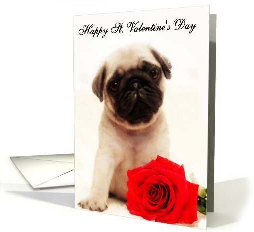 Happy St. Valentine's day Pug card (544183)