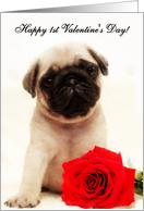 Happy 1st Valentine’s day Pug card