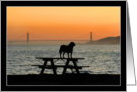 Dog in San Francisco sunset card