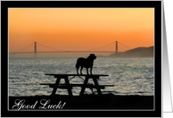 Good Luck Dog in sunset card
