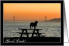 Good Luck Dog in sunset card