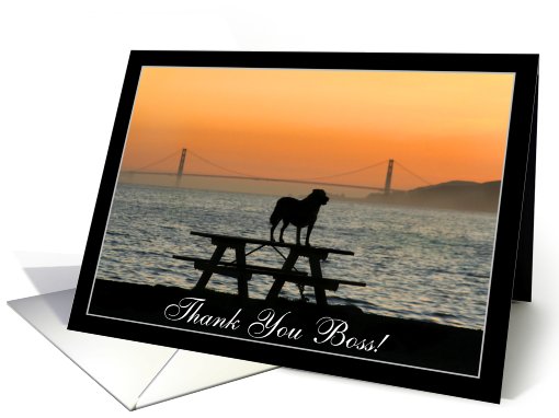 Thank You Boss Dog in sunset card (556819)