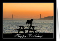 Happy Birthday Dog in sunset card