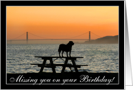 Missing You on your Birthday Dog in sunset card