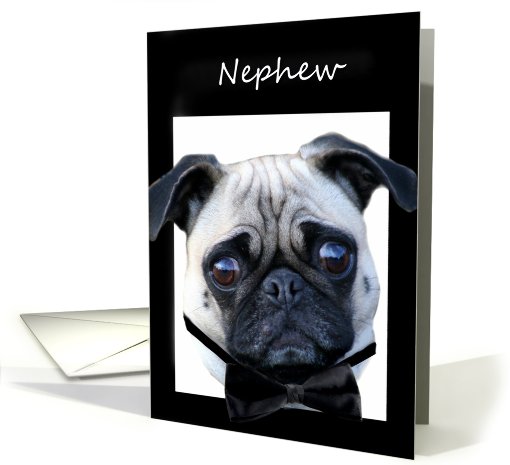 Nephew Thank You for being my Best Man Pug card (561516)